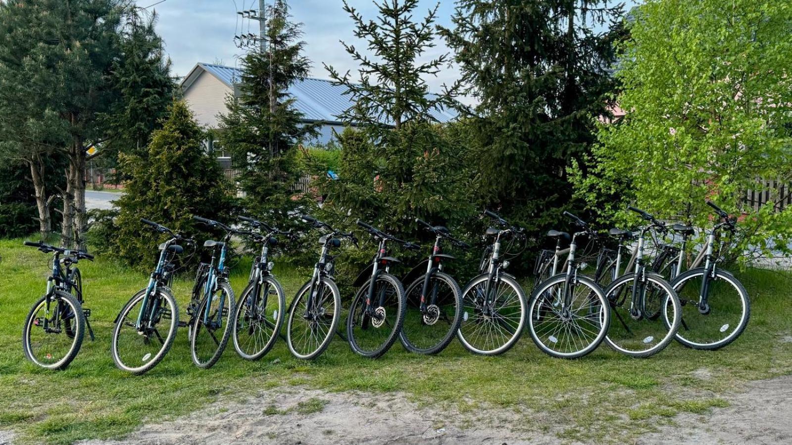 Domki Wypoczynkowe Las Sliwice Bagian luar foto